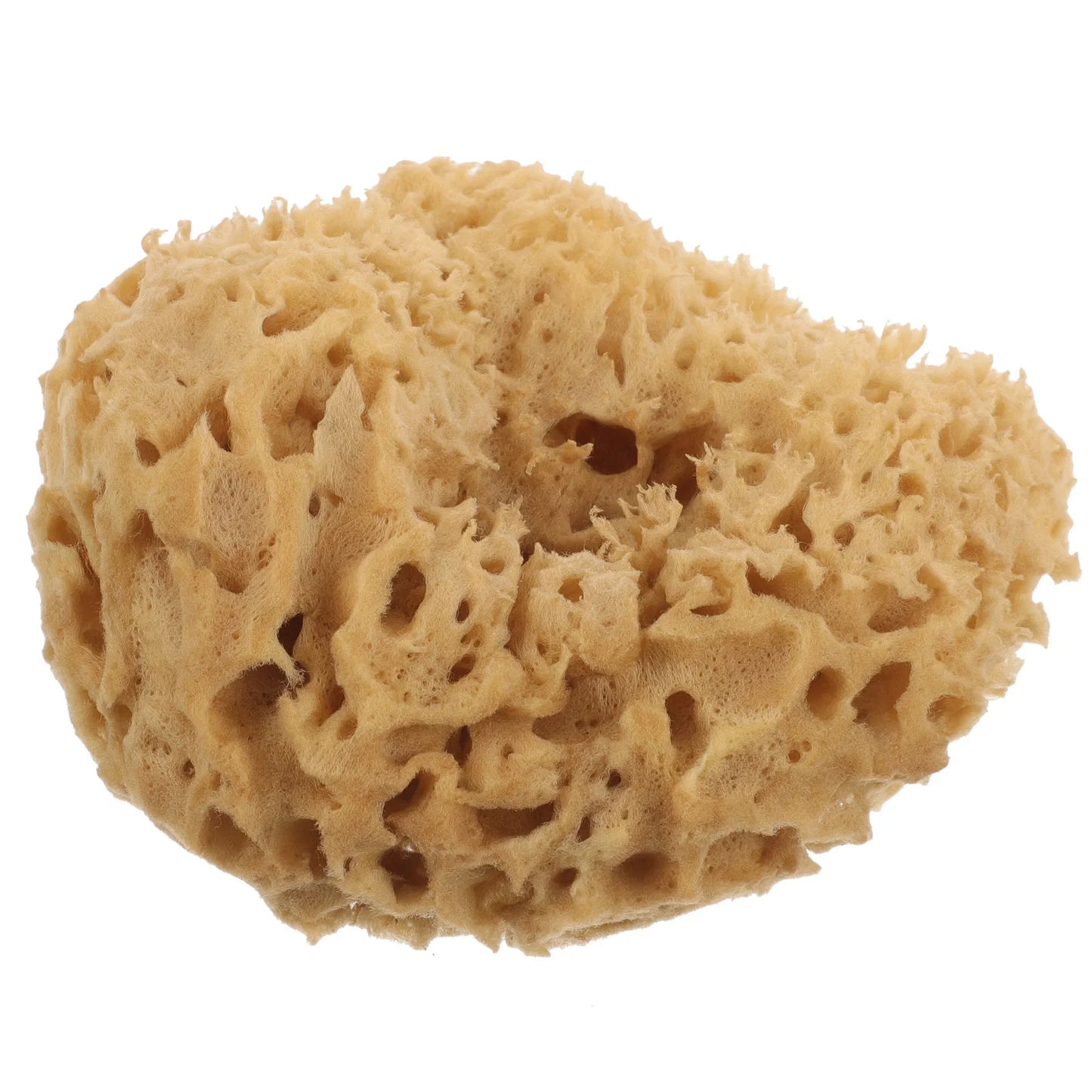 100% Natural Sponge Exfoliator
