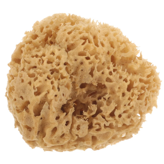 100% Natural Sponge Exfoliator