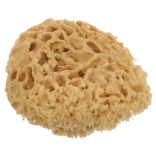 100% Natural Sponge Exfoliator